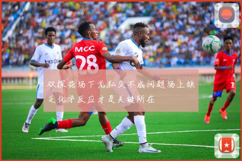 双探花场下无私交不成问题场上缺乏化学反应才是关键所在